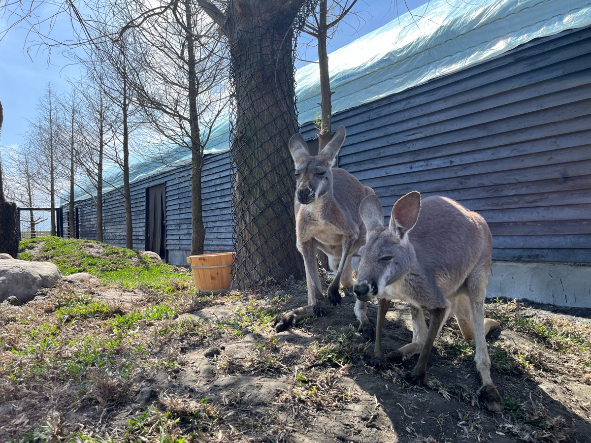 蘭陽動植物王國 | 去趣 chicTrip