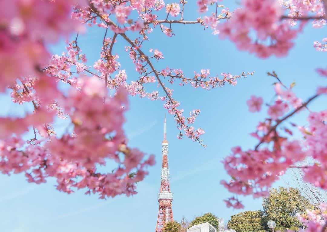 Shiba Park | 去趣 chicTrip