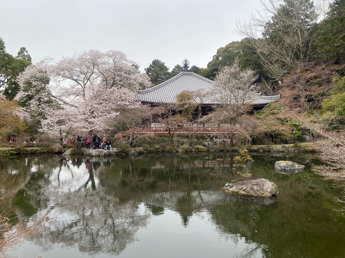 醍醐寺 | 去趣 chicTrip