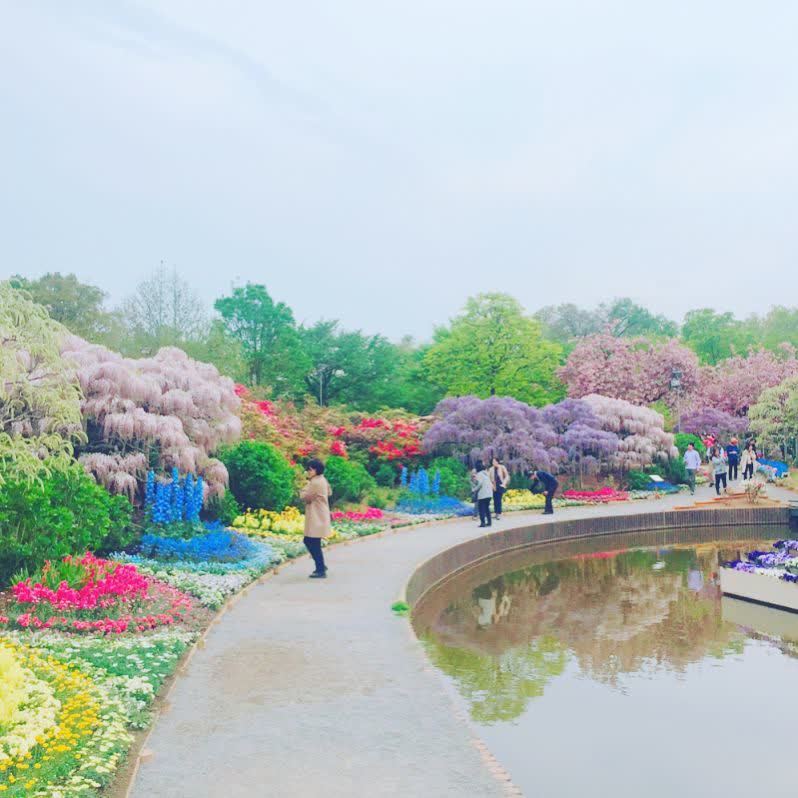 足利花卉公園 | 去趣 chicTrip