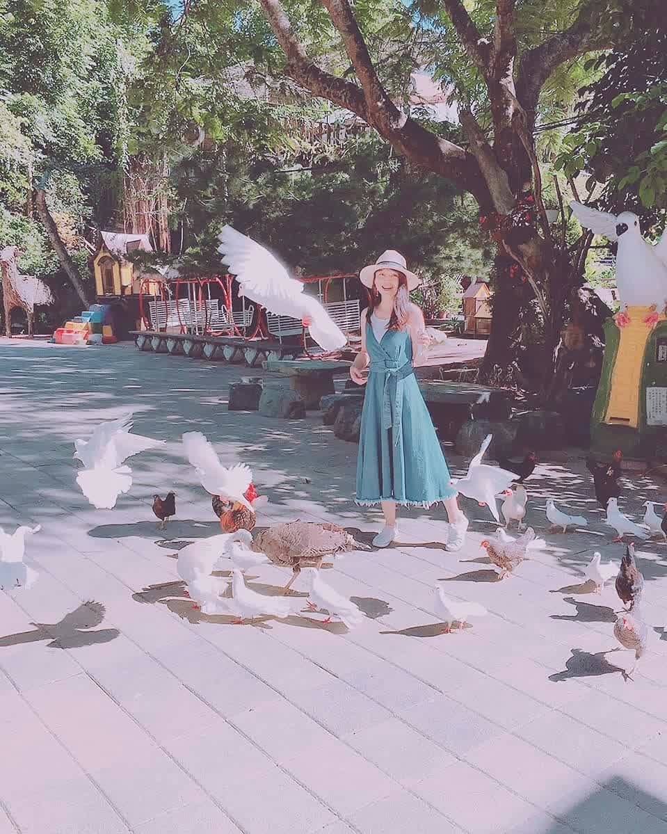 大坑休閒農場 | 去趣 chicTrip