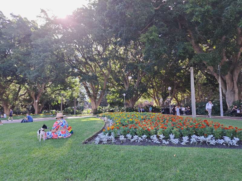 海德公園 | 去趣 chicTrip