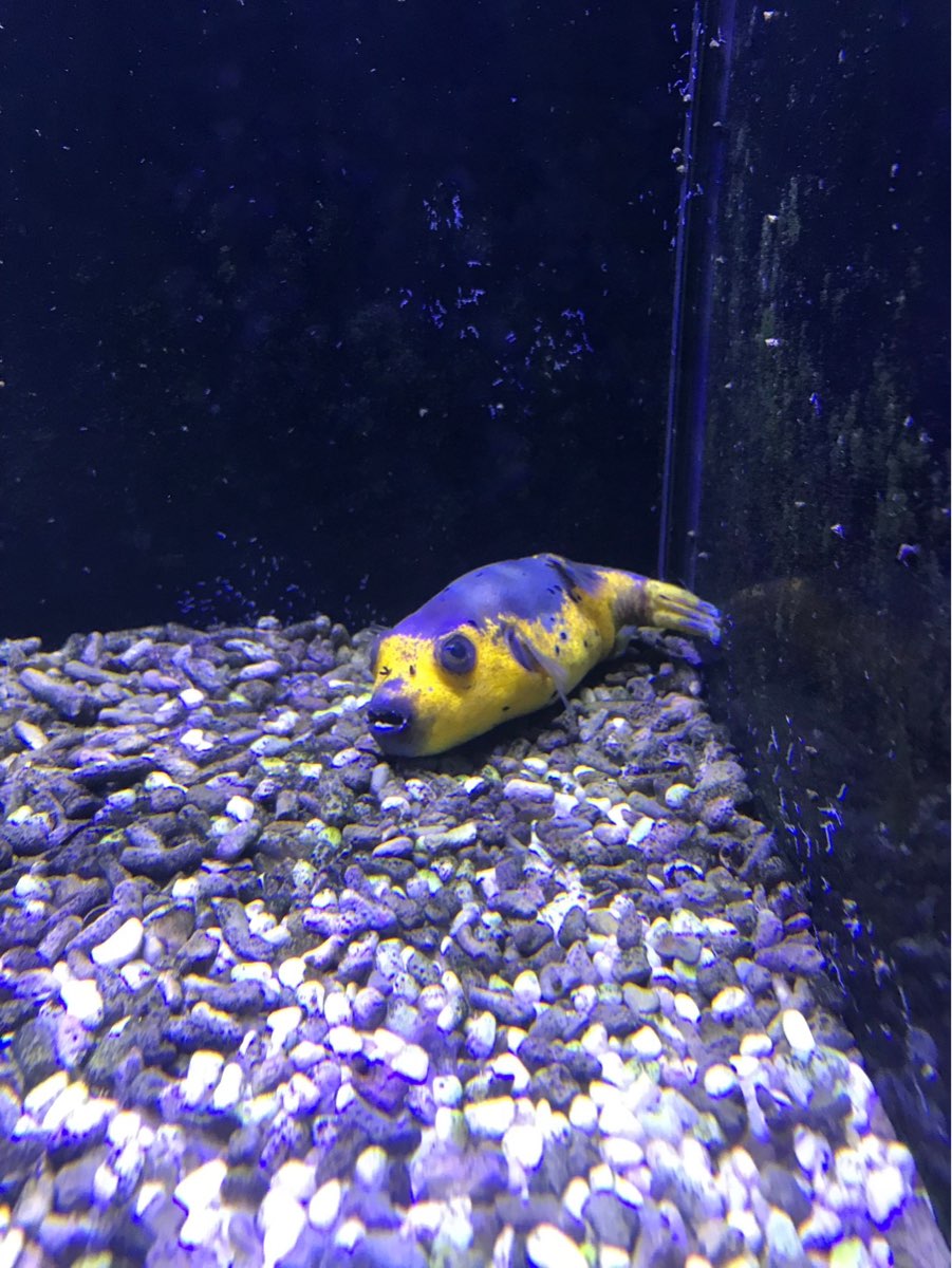 金車生技水產養殖研發中心 | 去趣 chicTrip