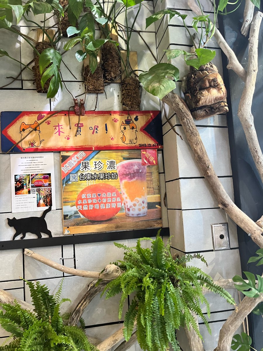 果珍濃台東水果珍奶 | 去趣 chicTrip