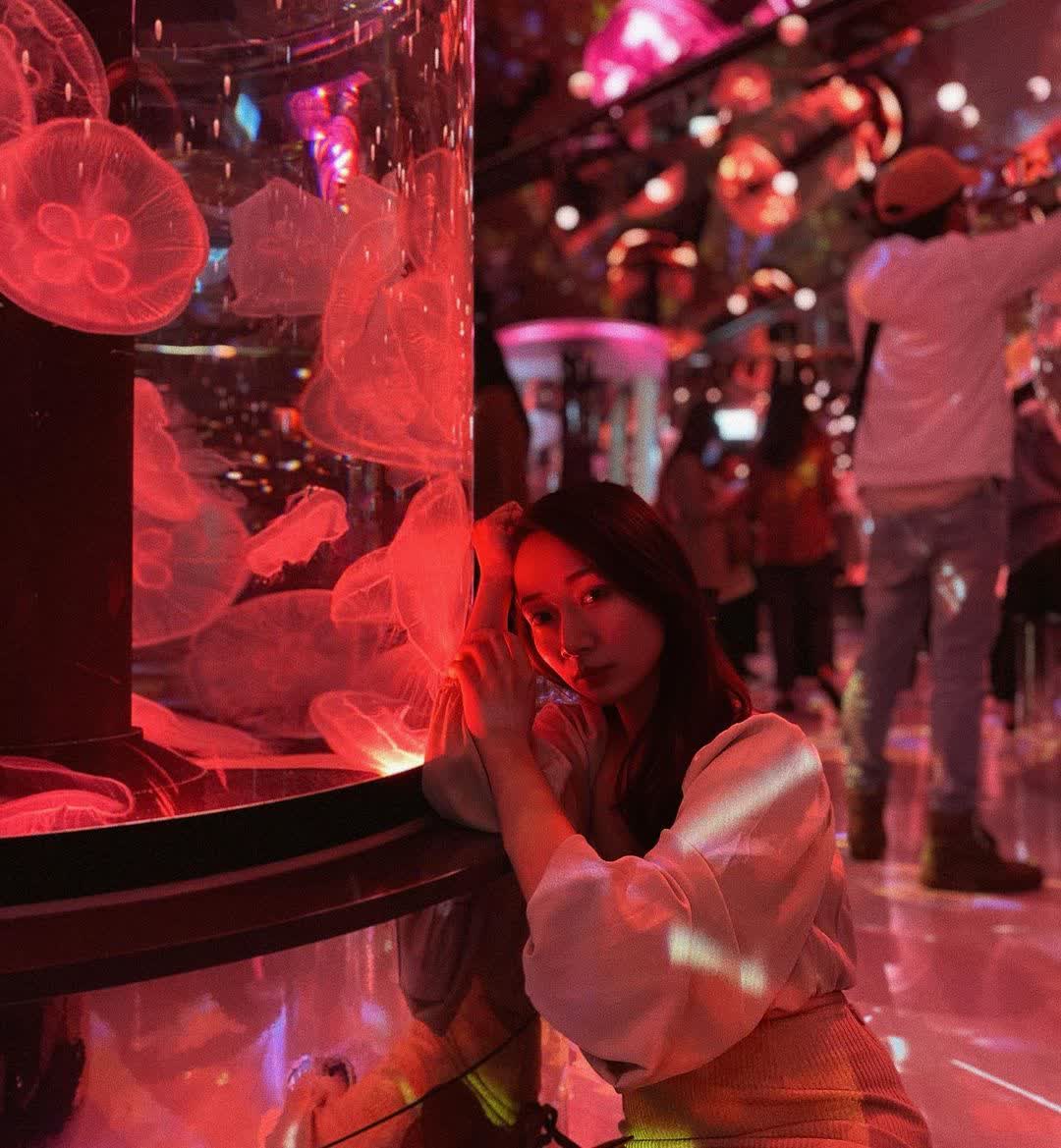 Xpark 水族館 | 去趣 chicTrip