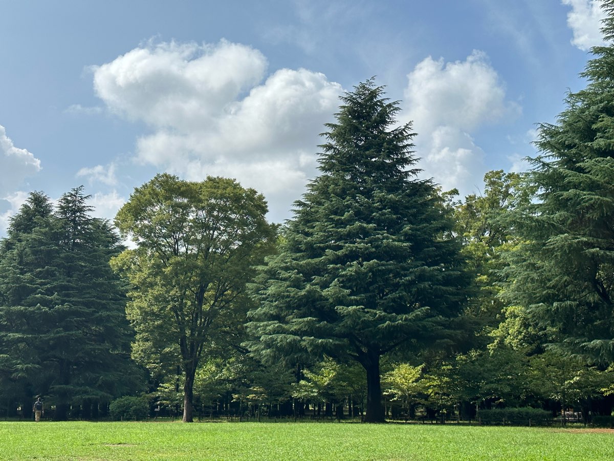 代代木公園 | 去趣 chicTrip