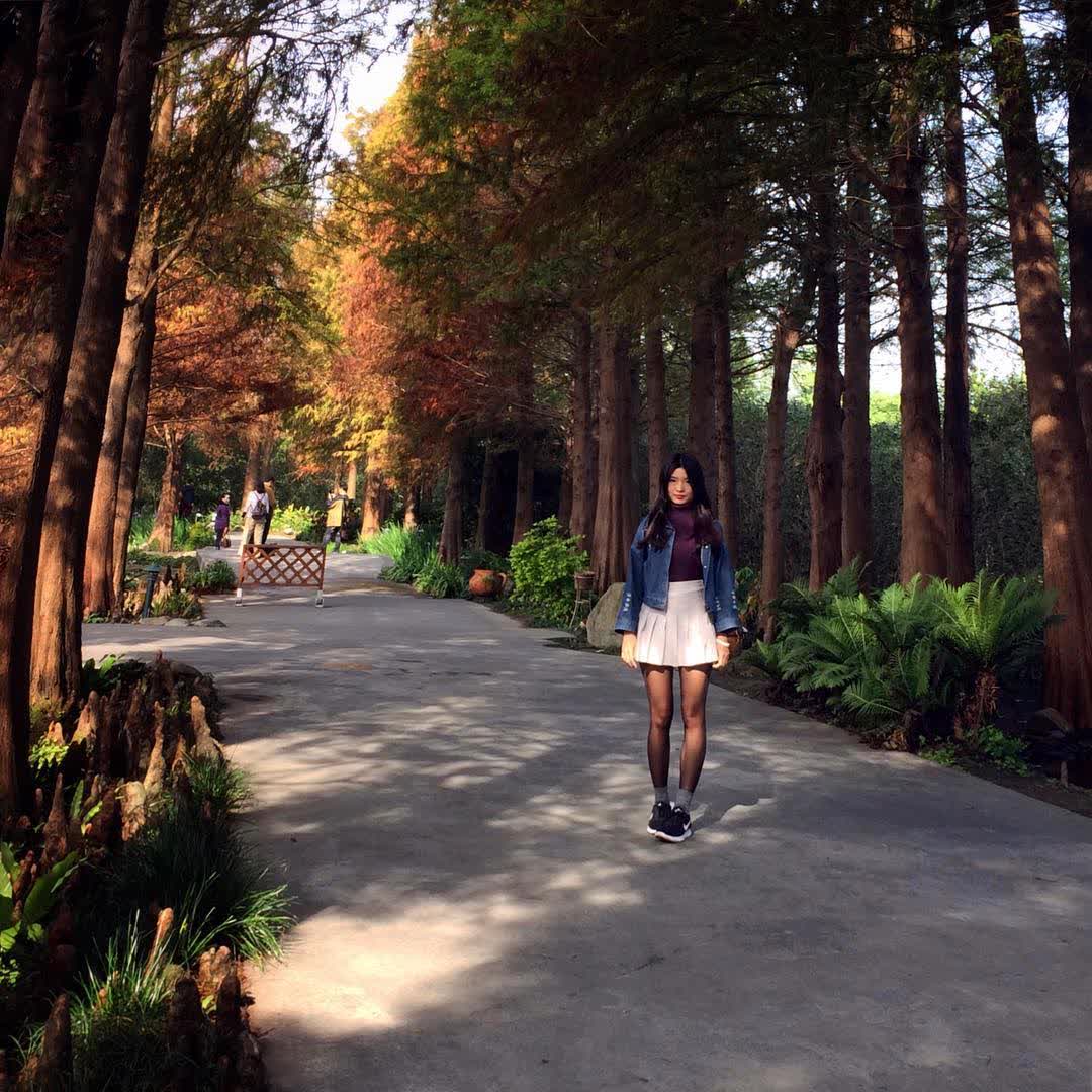 菁芳園 落羽松景觀餐廳 | 去趣 chicTrip