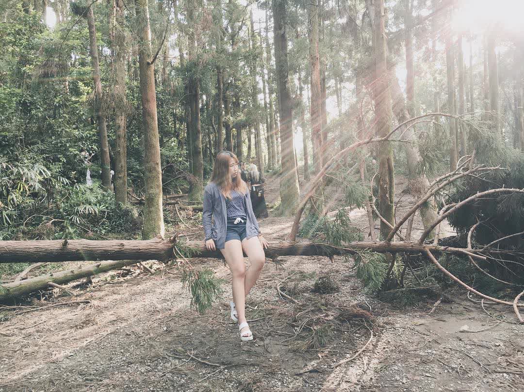 竹子湖 | 去趣 chicTrip