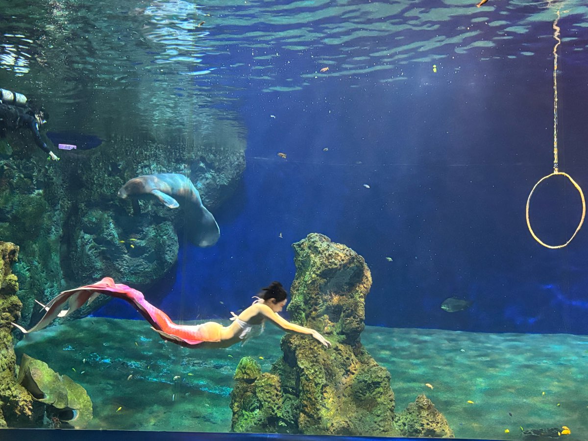 遠雄海洋公園 | 去趣 chicTrip