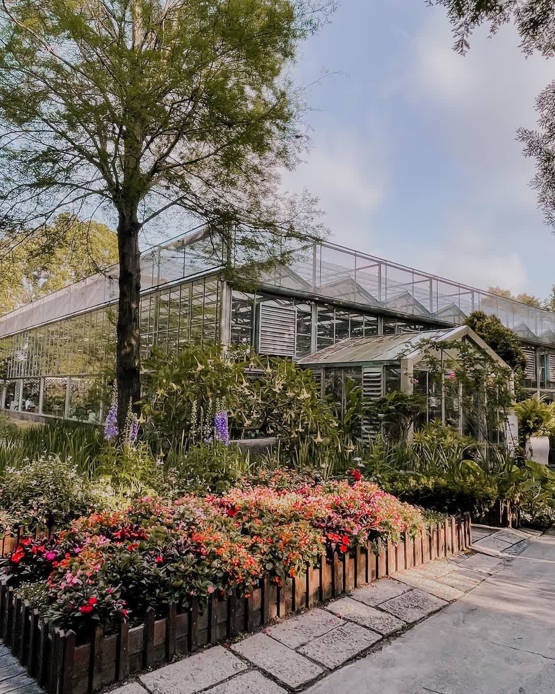菁芳園 落羽松景觀餐廳 | 去趣 chicTrip