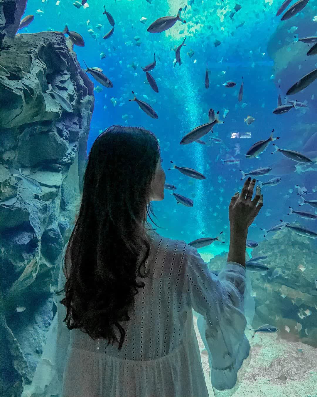 Xpark 水族館 | 去趣 chicTrip