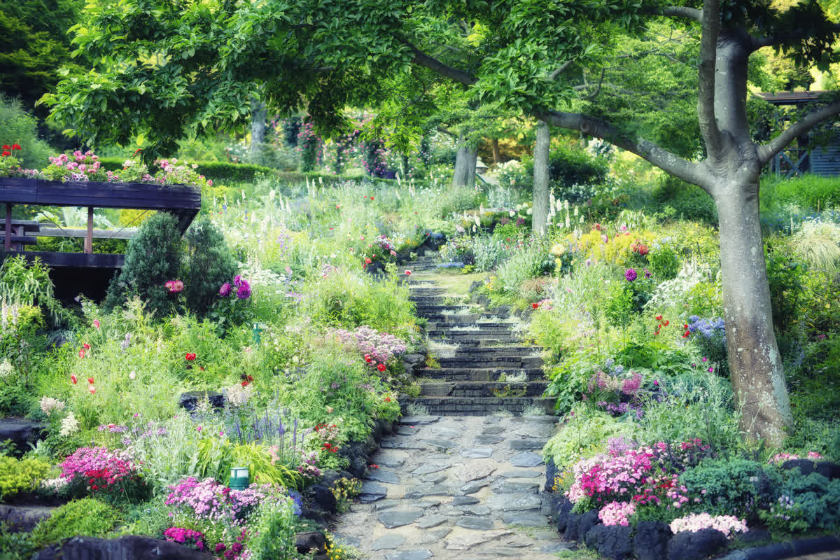 神戶布引香草園 | 去趣 chicTrip