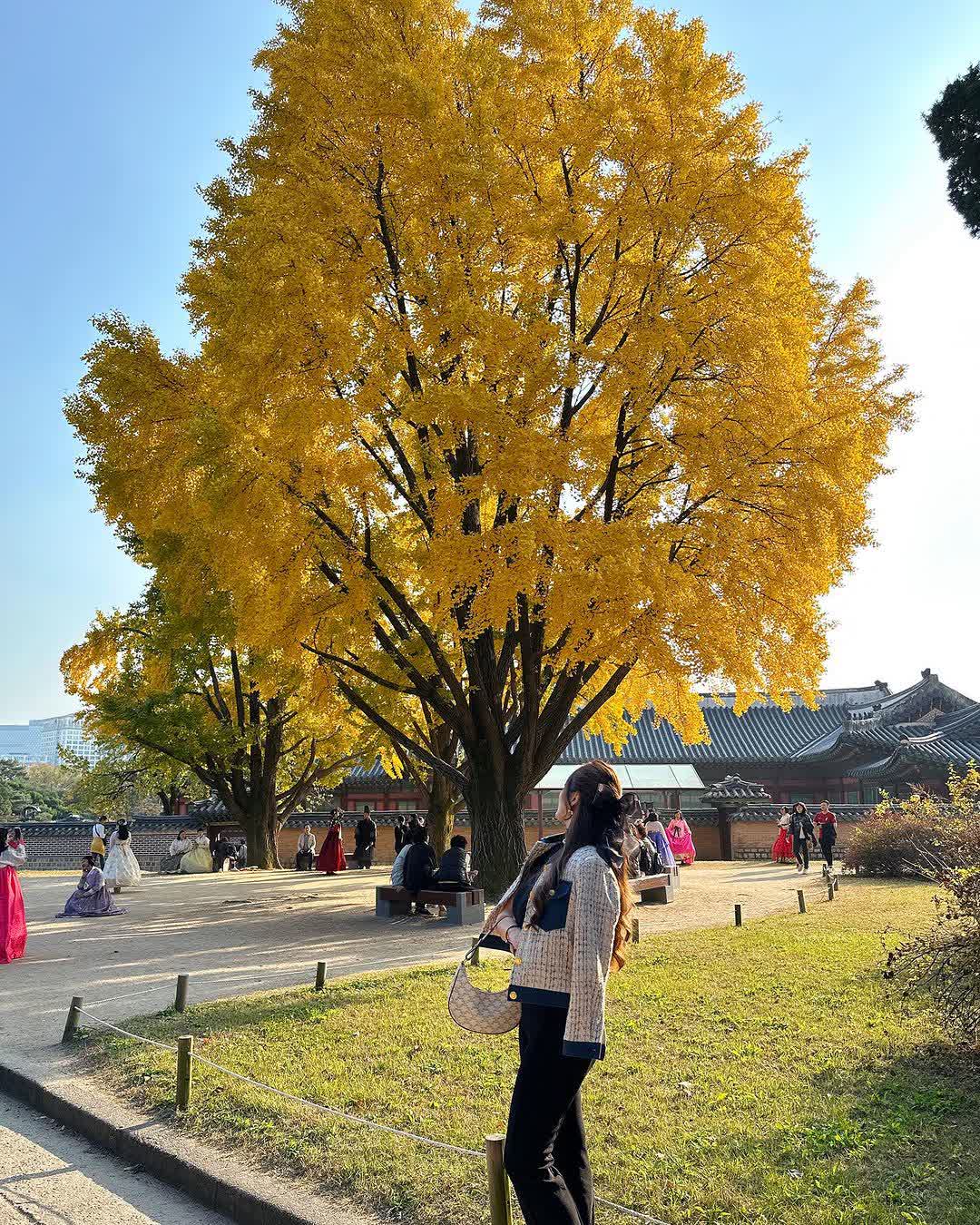 景福宮 | 去趣 chicTrip