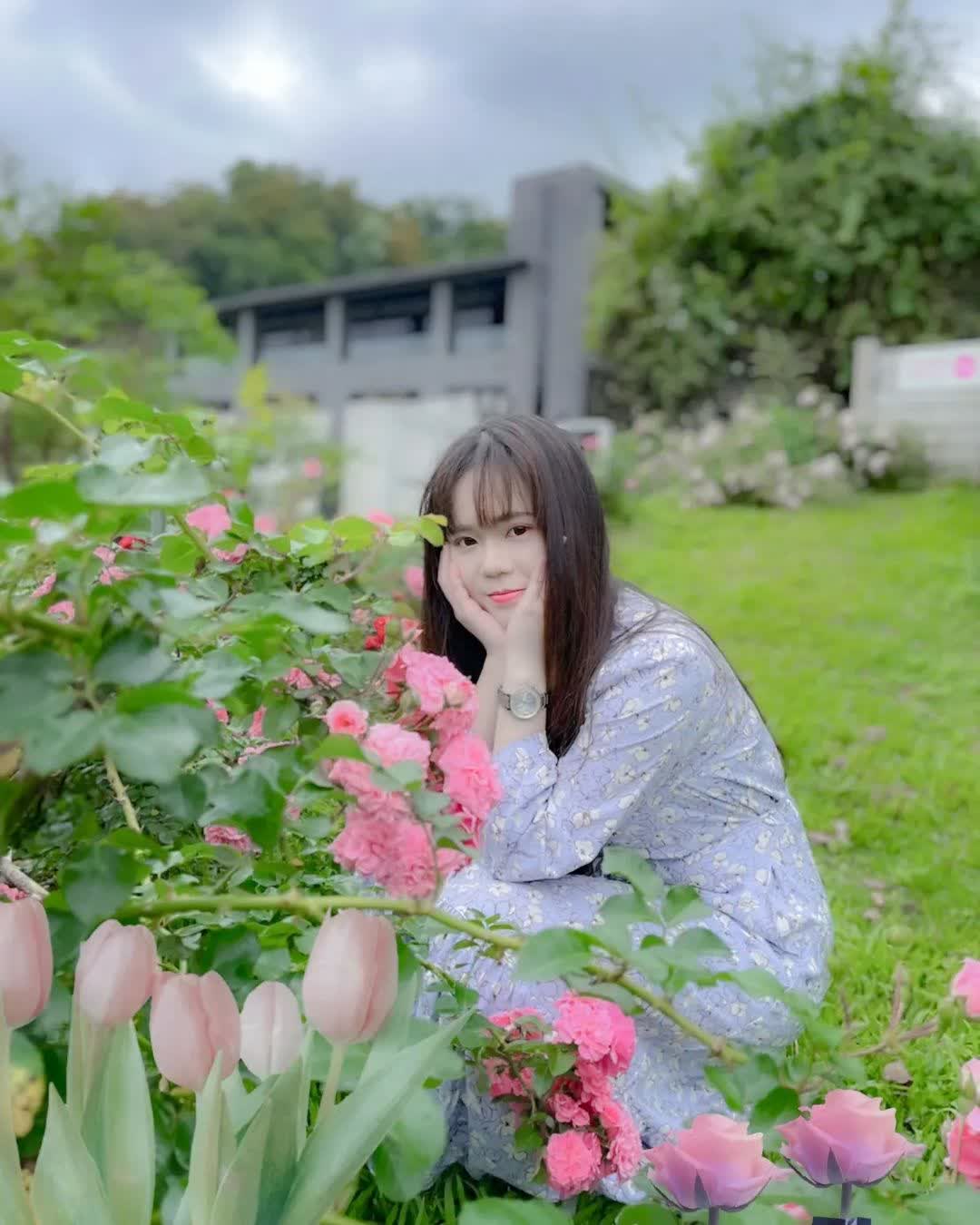 雅聞七里香玫瑰森林 | 去趣 chicTrip