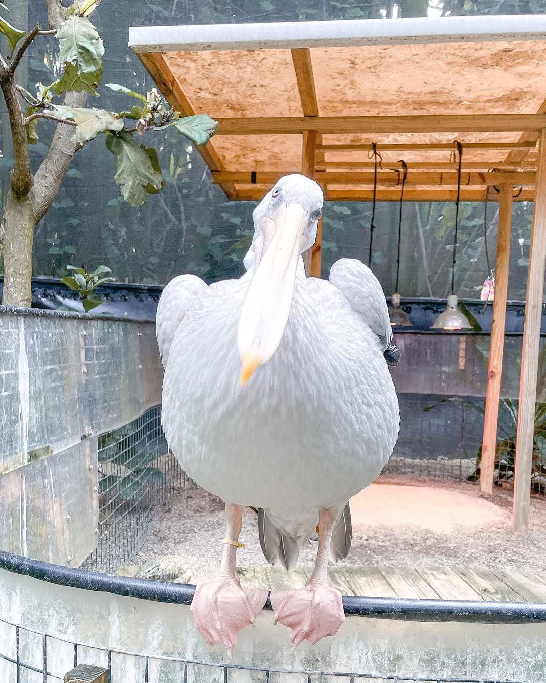 綠世界生態農場 | 去趣 chicTrip