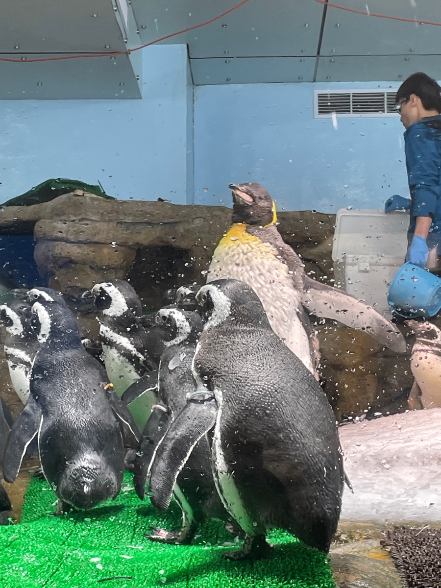 Xpark 水族館 | 去趣 chicTrip