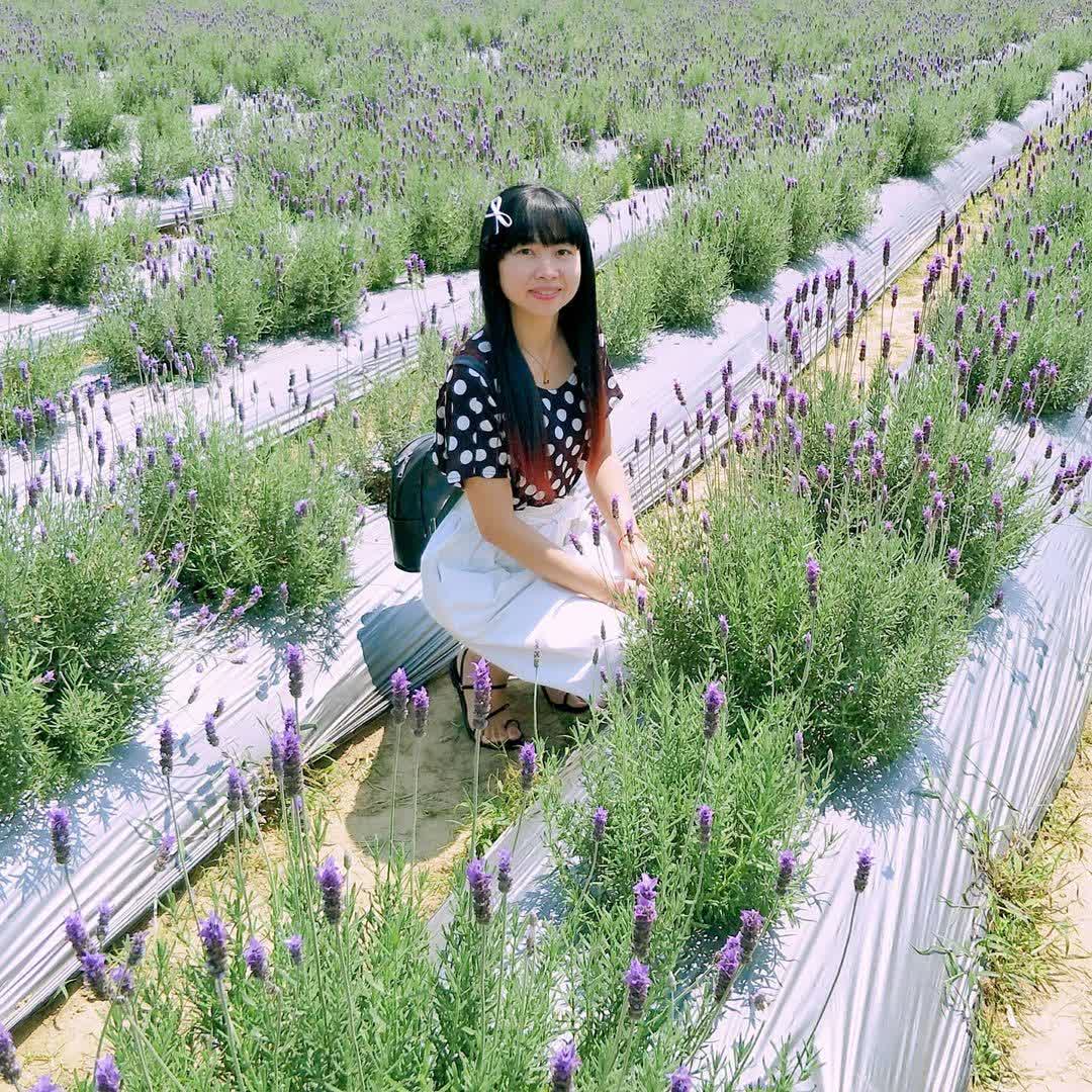 葛瑞絲香草田 | 去趣 chicTrip