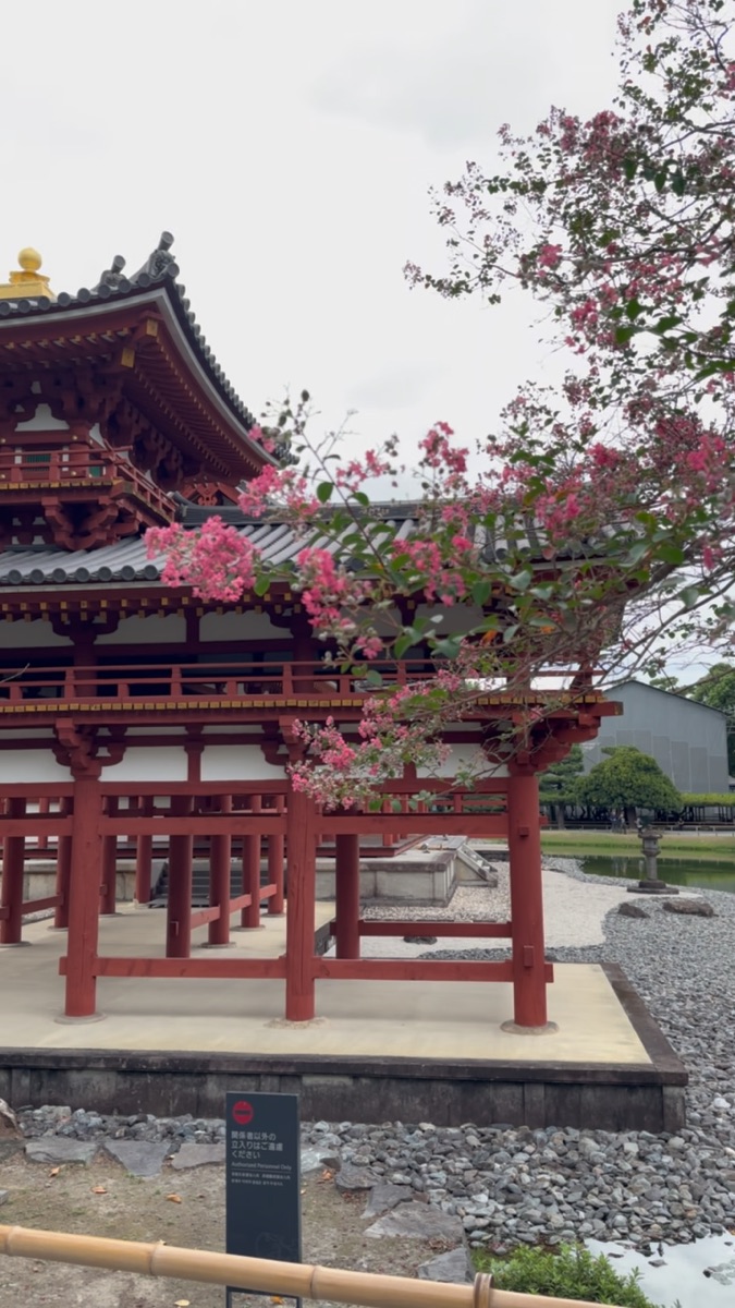 平等院 | 去趣 chicTrip