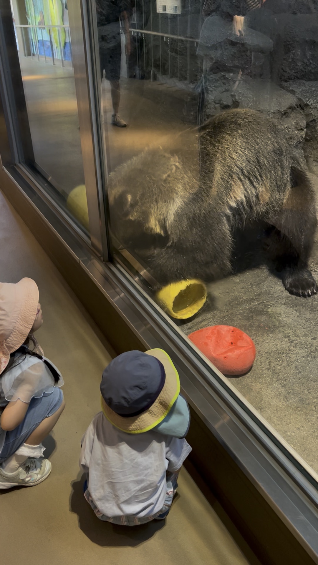 旭山動物園 | 去趣 chicTrip