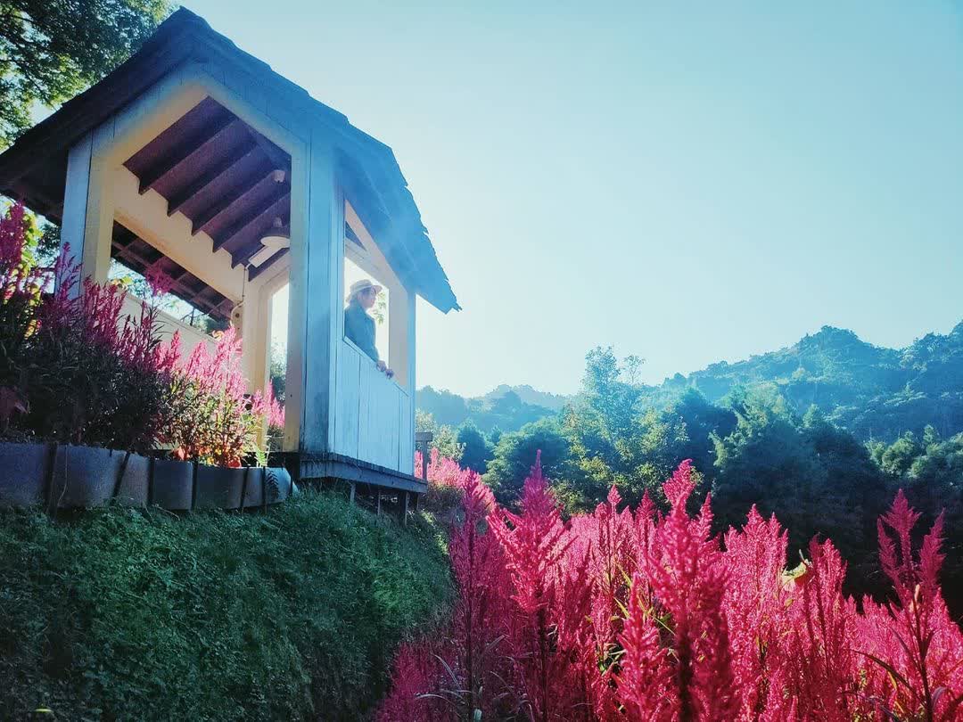 薰衣草森林台中新社店 | 去趣 chicTrip