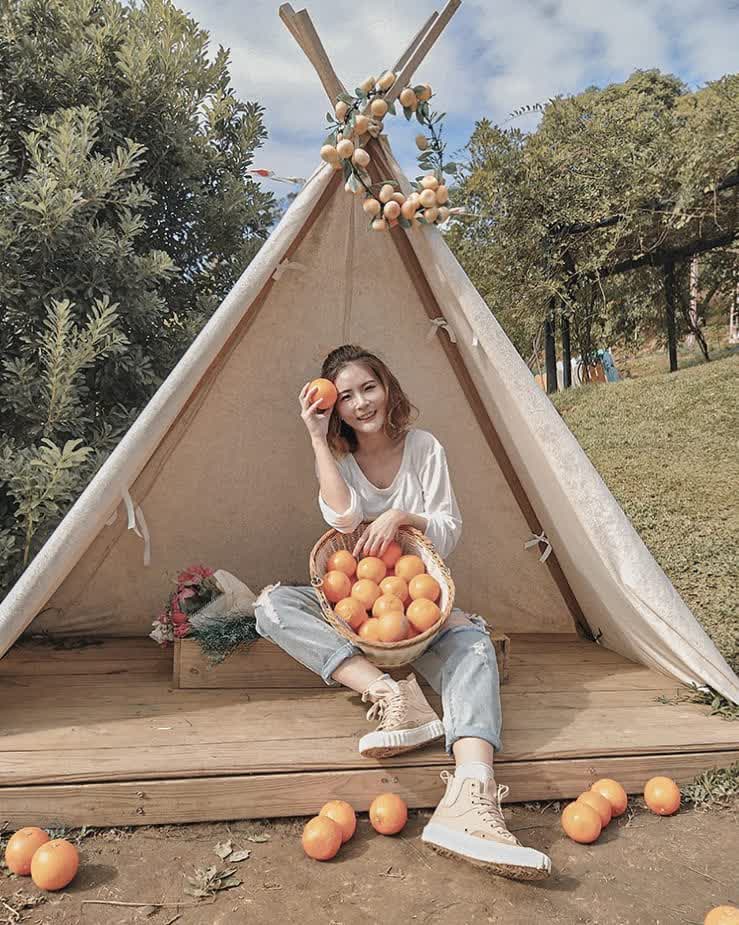 橙香森林 | 去趣 chicTrip