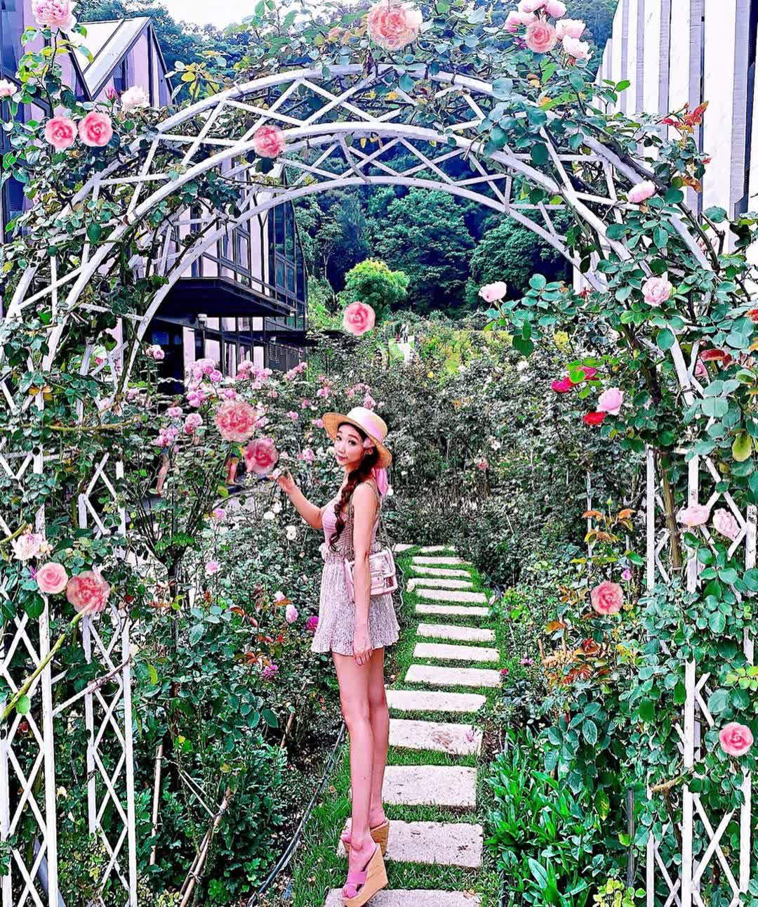 雅聞七里香玫瑰森林 | 去趣 chicTrip