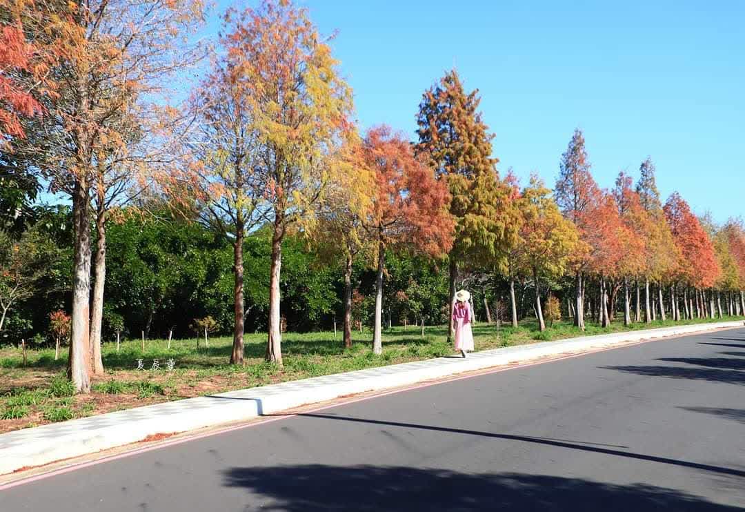 麗寶樂園 | 去趣 chicTrip