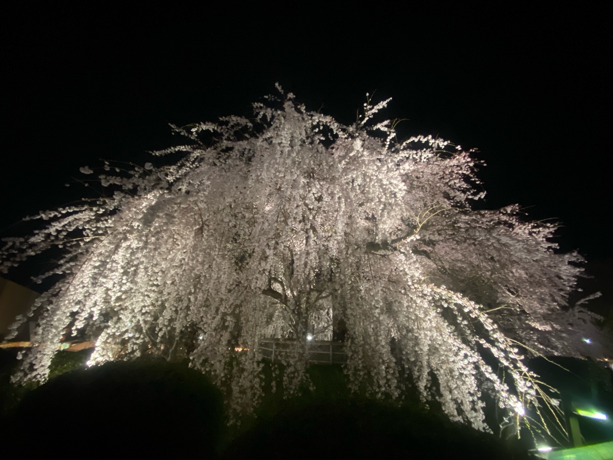 圓山公園 | 去趣 chicTrip