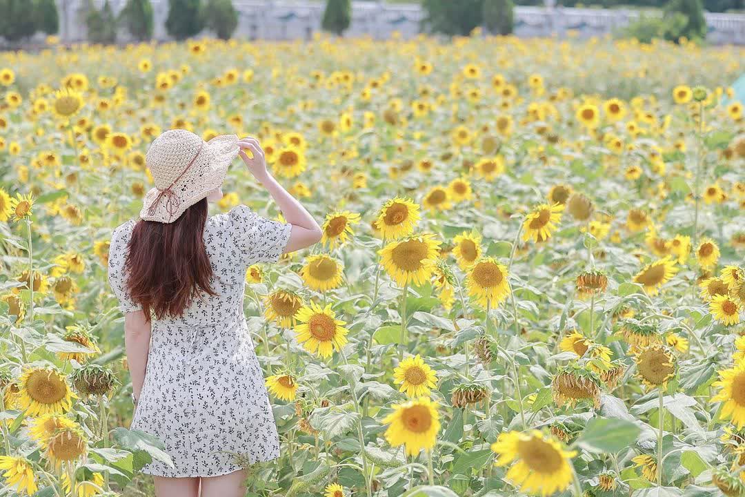 北港糖廠 | 去趣 chicTrip