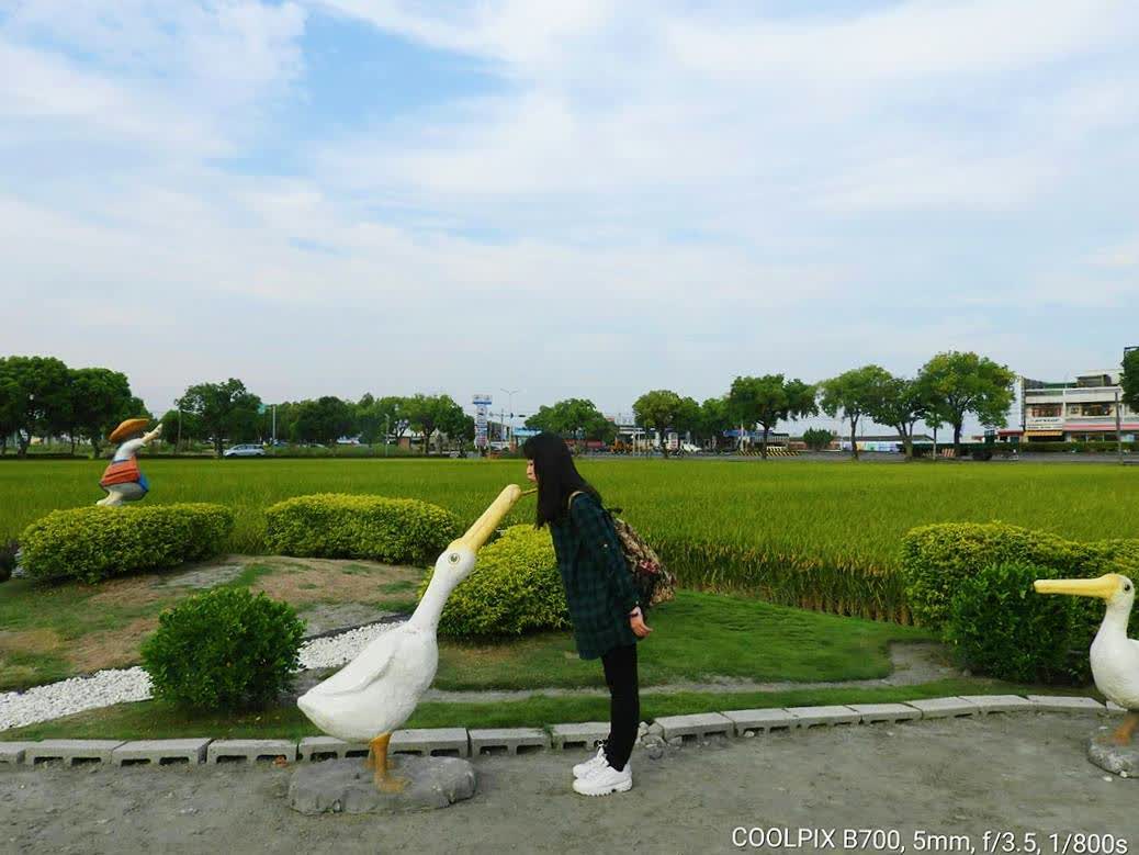 埤頭繪本公園 | 去趣 chicTrip