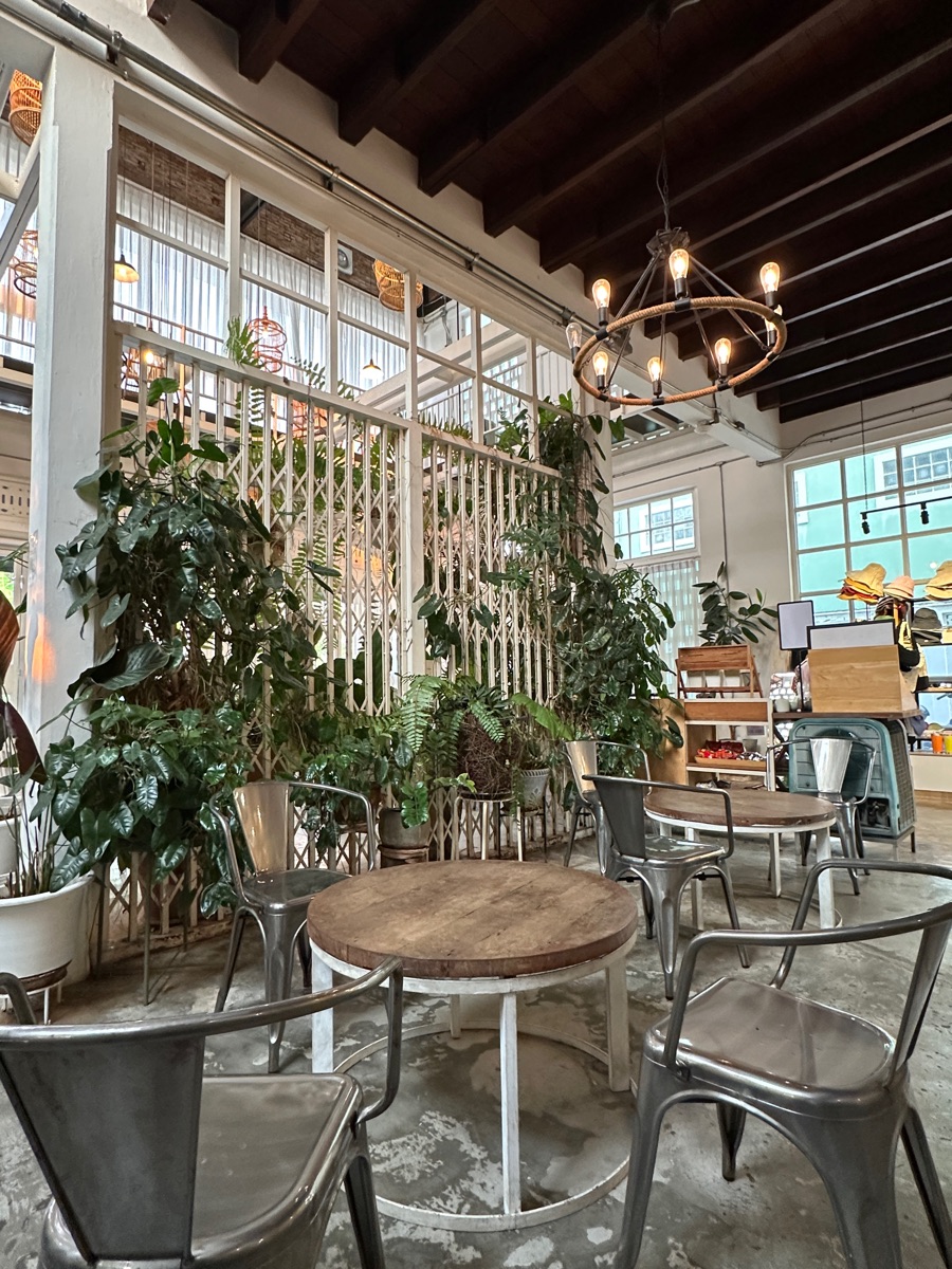 Memmoth Cafe&Hostel In Lampang | 去趣 chicTrip