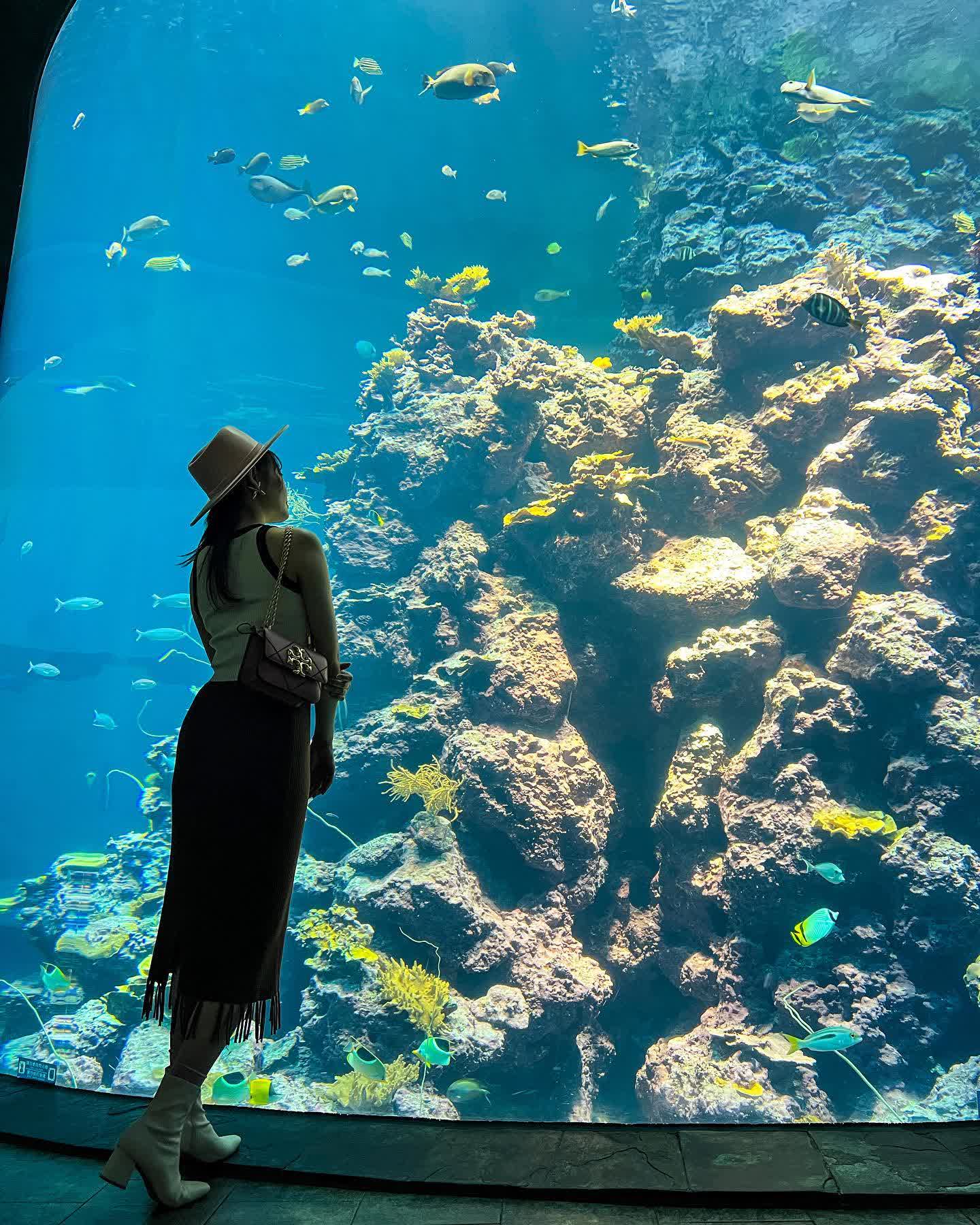 國立海洋生物博物館 | 去趣 chicTrip