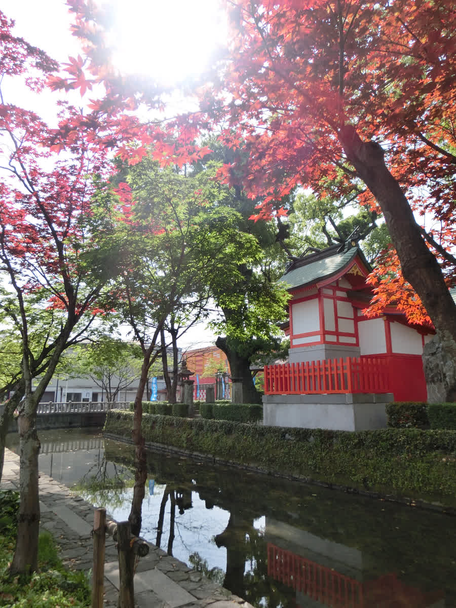 佐嘉神社 | 去趣 chicTrip
