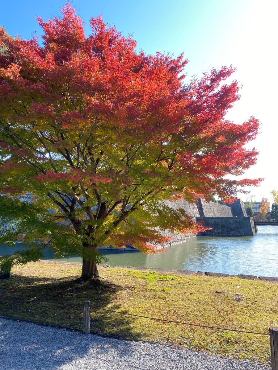 二條城 | 去趣 chicTrip