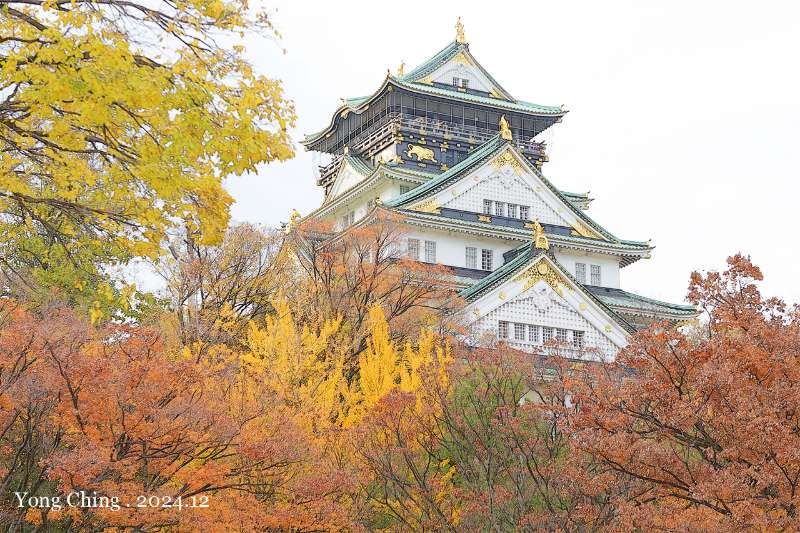 大阪城 | 去趣 chicTrip