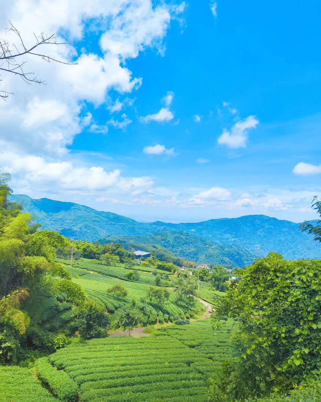 一三一四觀景台 | 去趣 chicTrip