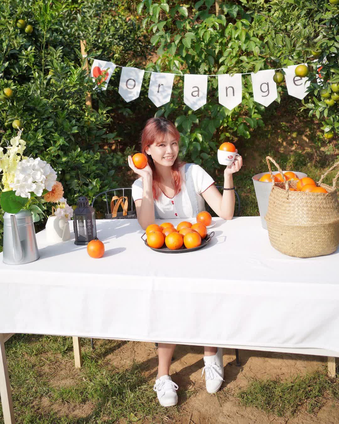 橙香森林 | 去趣 chicTrip