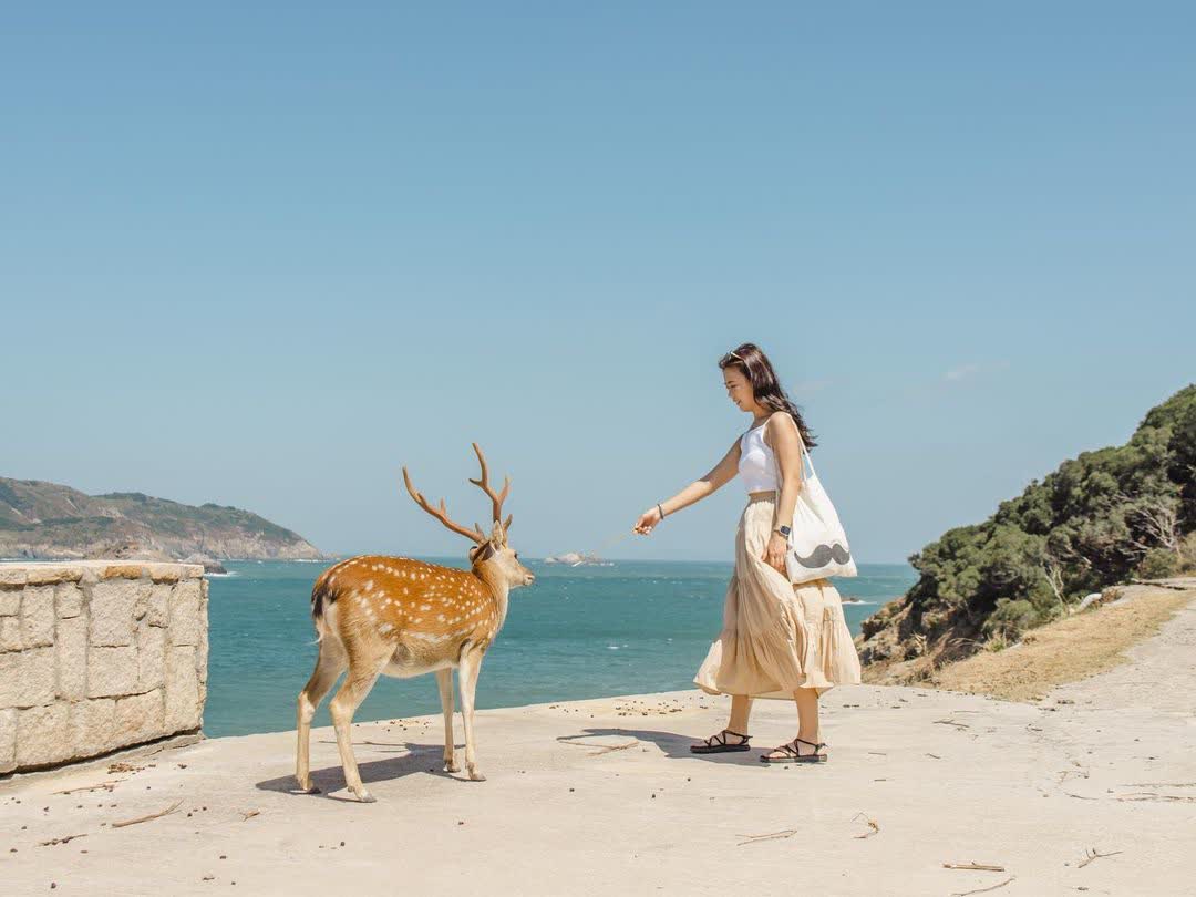 大坵島 | 去趣 chicTrip