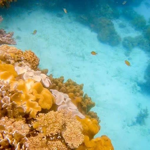 保和島 | 去趣 chicTrip