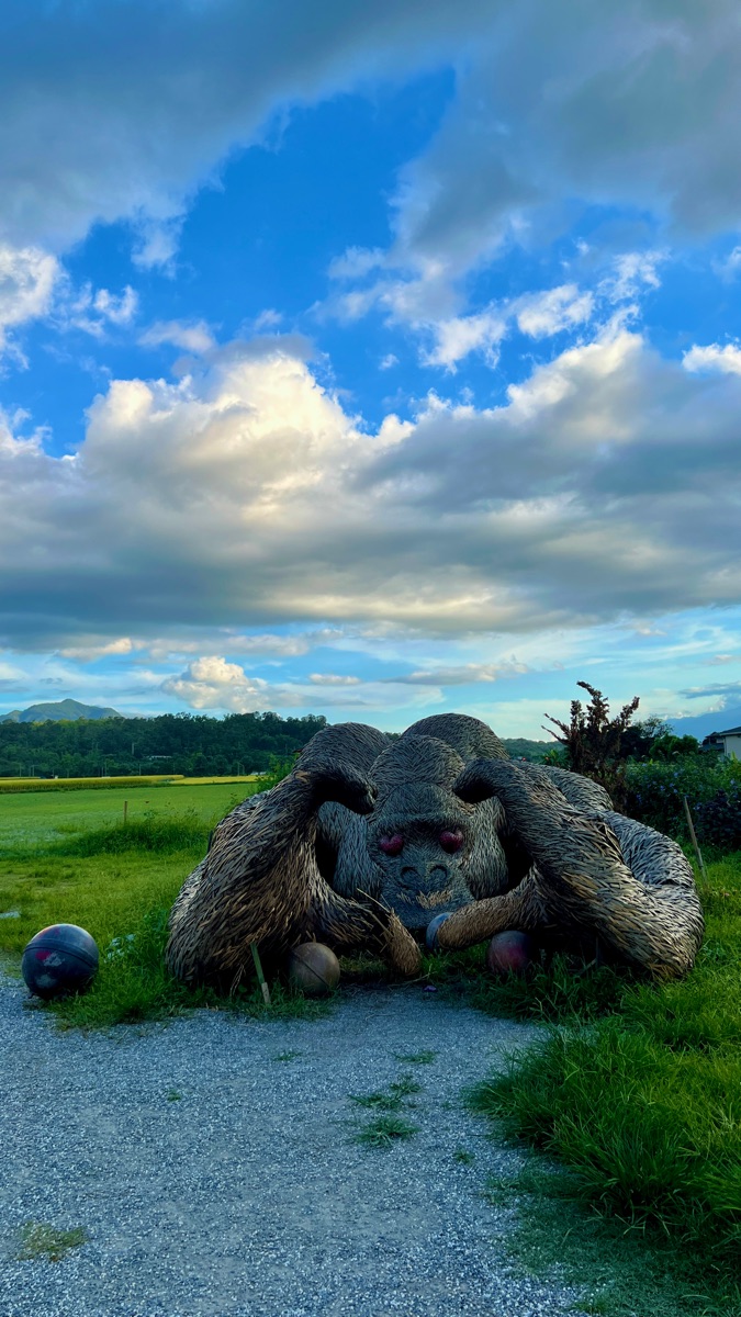 富里花海景觀區  (花蓮縣富里鄉農會旁) | 去趣 chicTrip