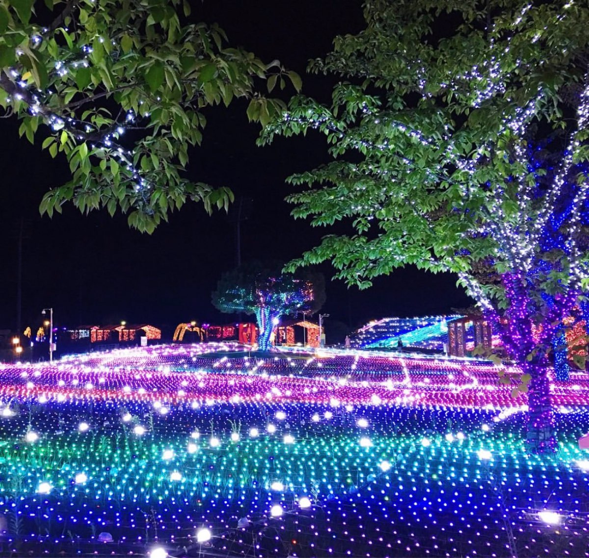 釜山慶南賽馬公園 | 去趣 chicTrip