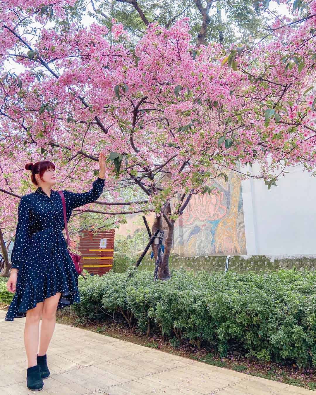 新竹公園 | 去趣 chicTrip