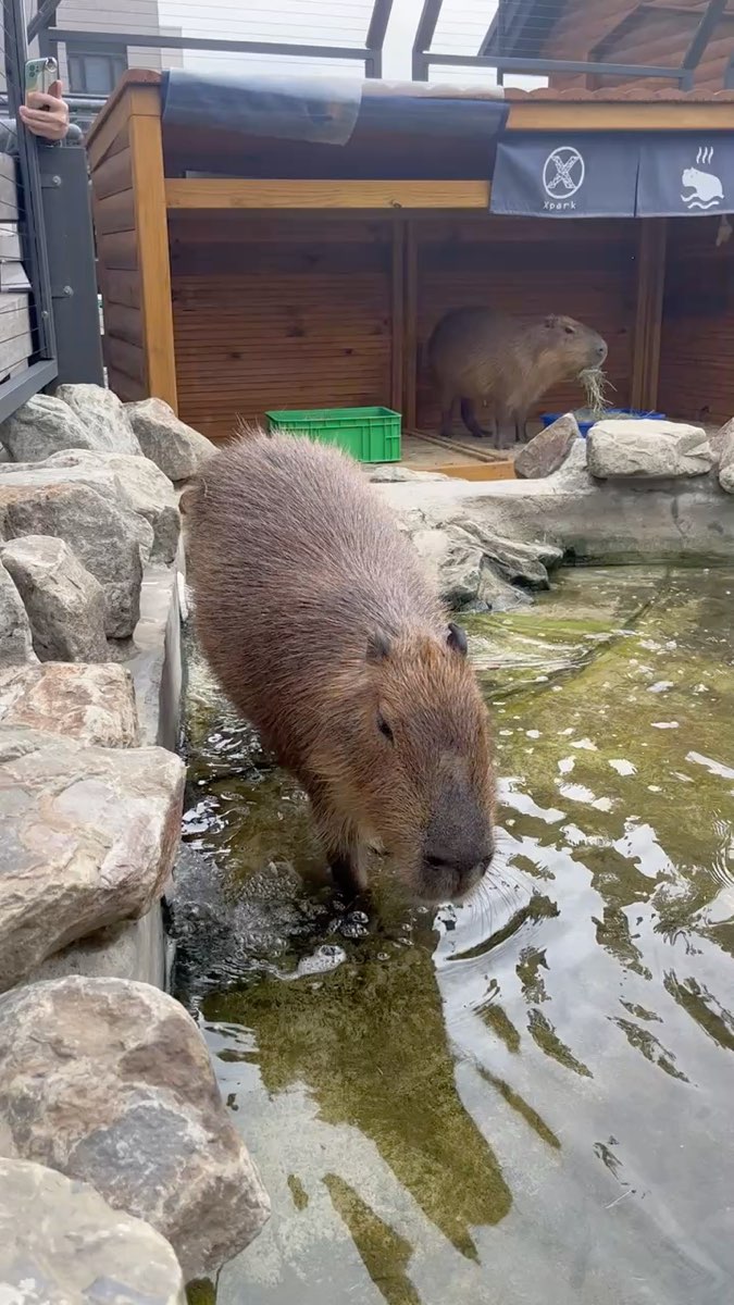 Xpark 水族館 | 去趣 chicTrip