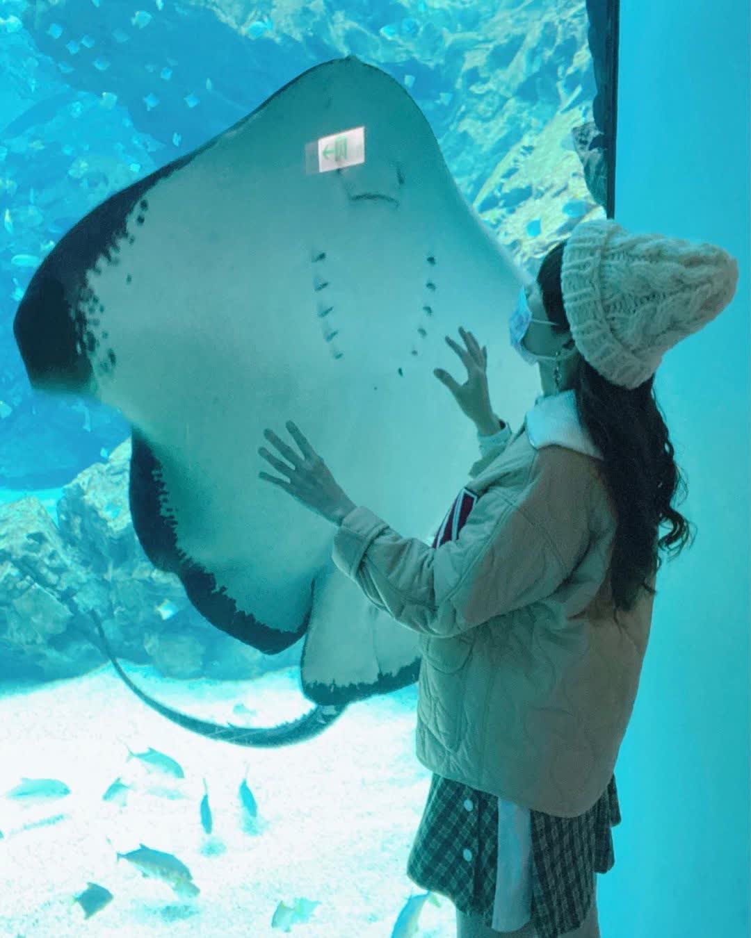 Xpark 水族館 | 去趣 chicTrip