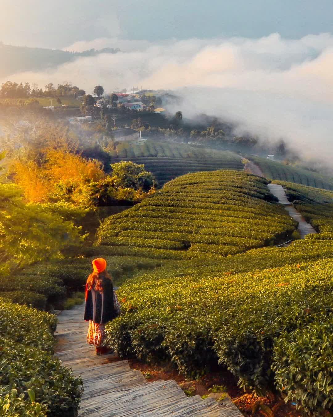 一三一四觀景台 | 去趣 chicTrip