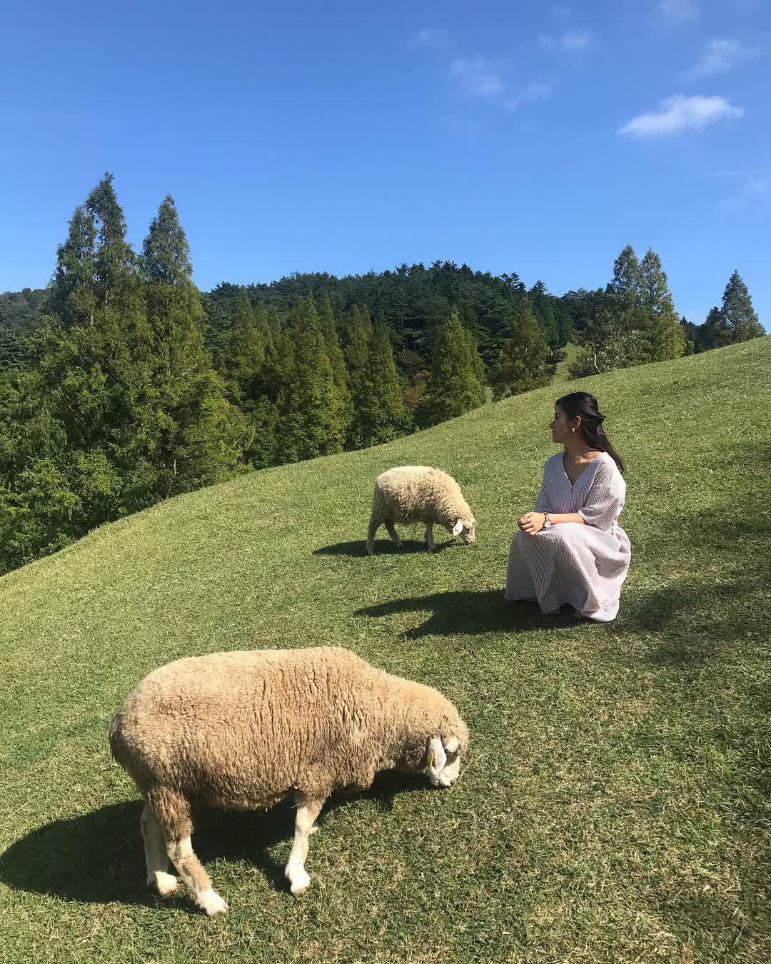 神戶市立六甲山牧場 | 去趣 chicTrip