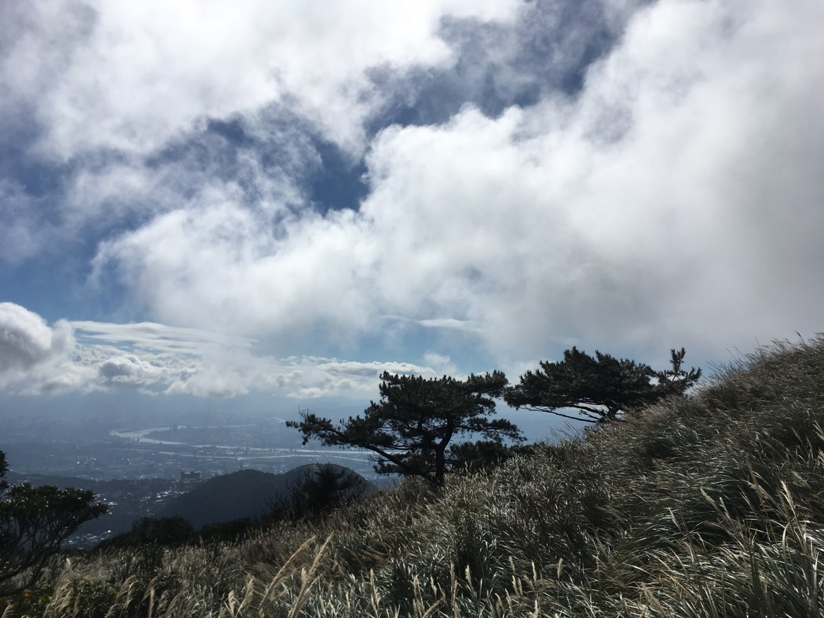 陽明山國家公園 | 去趣 chicTrip