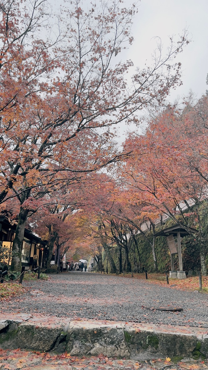 三千院 | 去趣 chicTrip