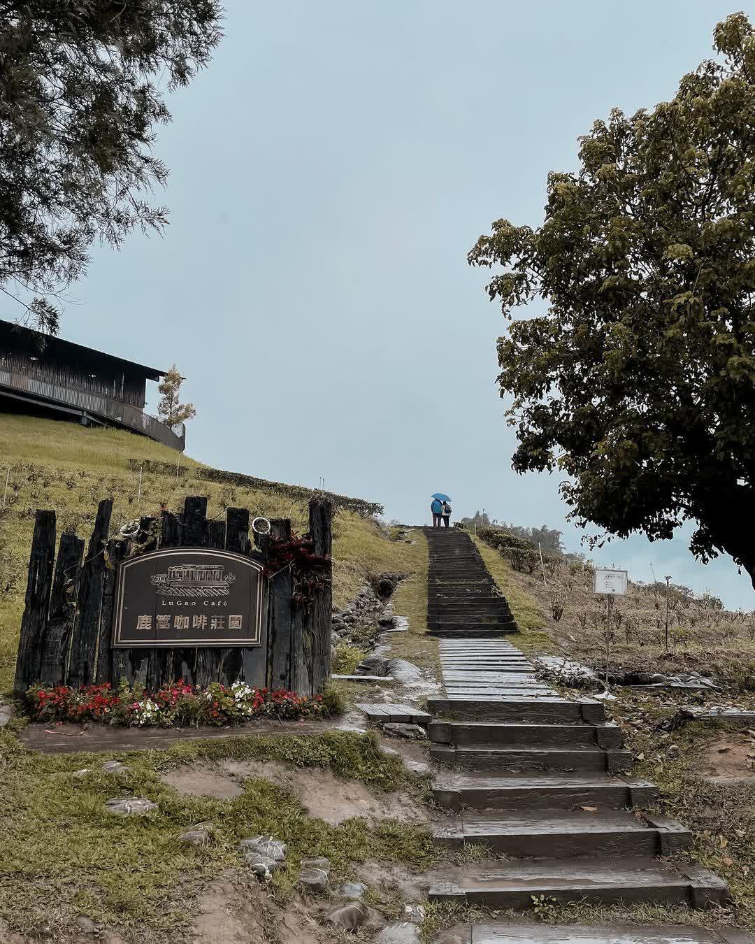 鹿篙咖啡莊園 | 去趣 chicTrip