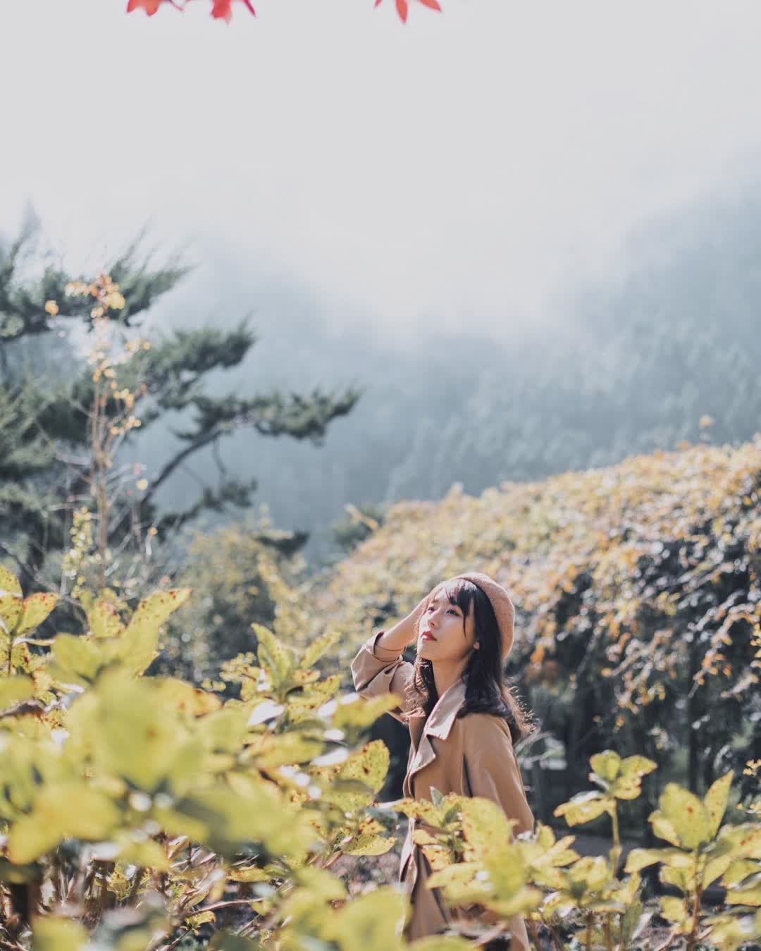 杉林溪森林生態渡假園區 | 去趣 chicTrip